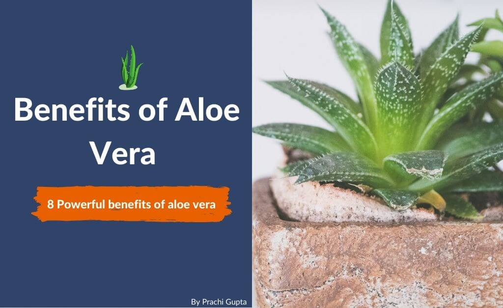 Benefits of aloe vera