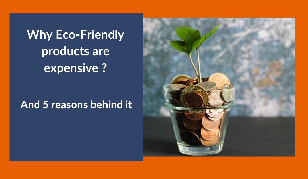 Why Eco-Friendly products are expensive and 5 reasons behind it ?