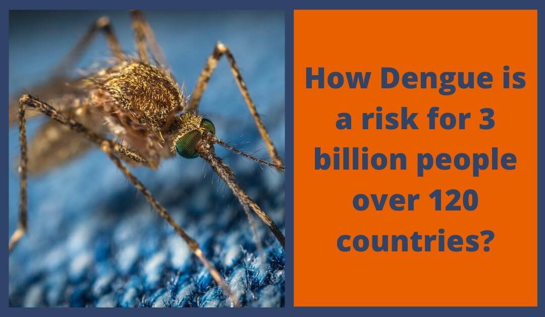 How Dengue is a risk for 3 billion people over 120 countries?