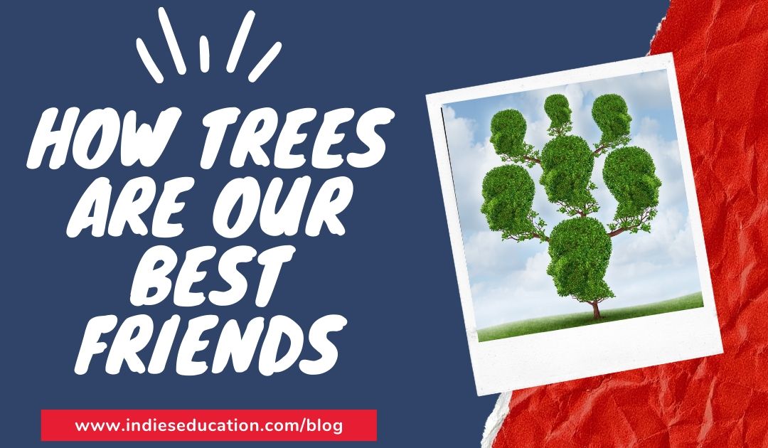 Trees Are Our Best Friends