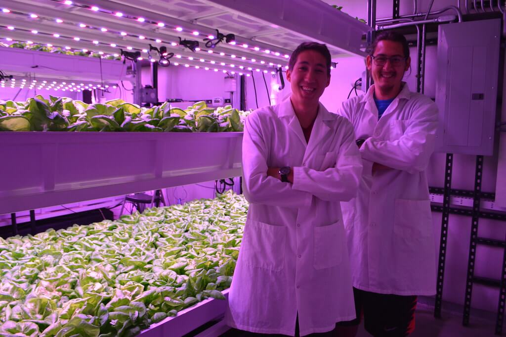 Hydroponics as Business
