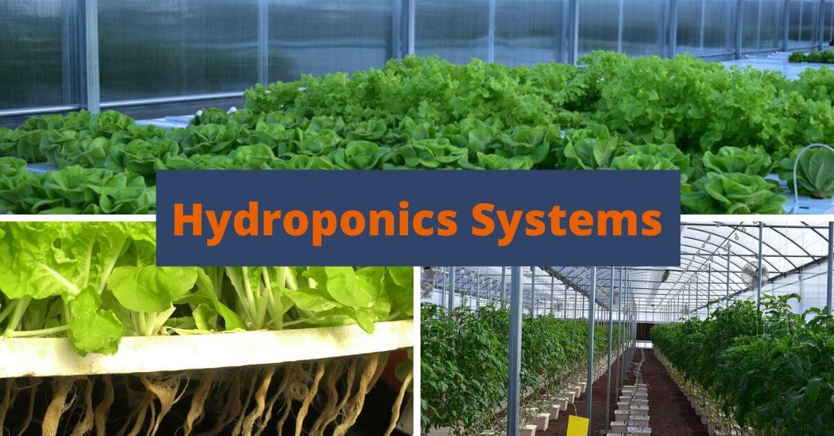 Hydroponics Systems for home and commercial use