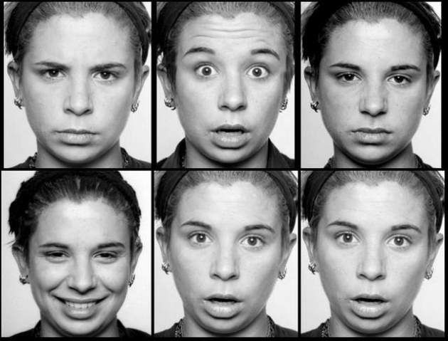 micro facial expression-parts-of-body-language