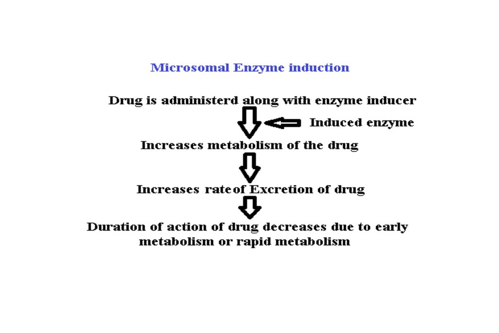 Microsomal enzyme induction: A prime aspect of drug metabolism