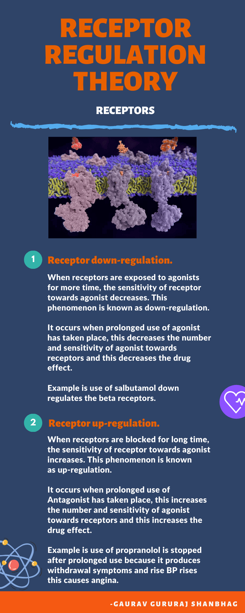 Receptor regulation theory