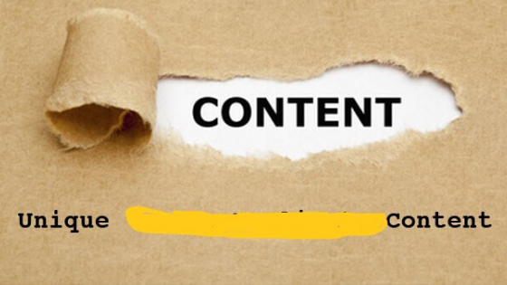 Write Unique Content.Don't Copy From Any where.