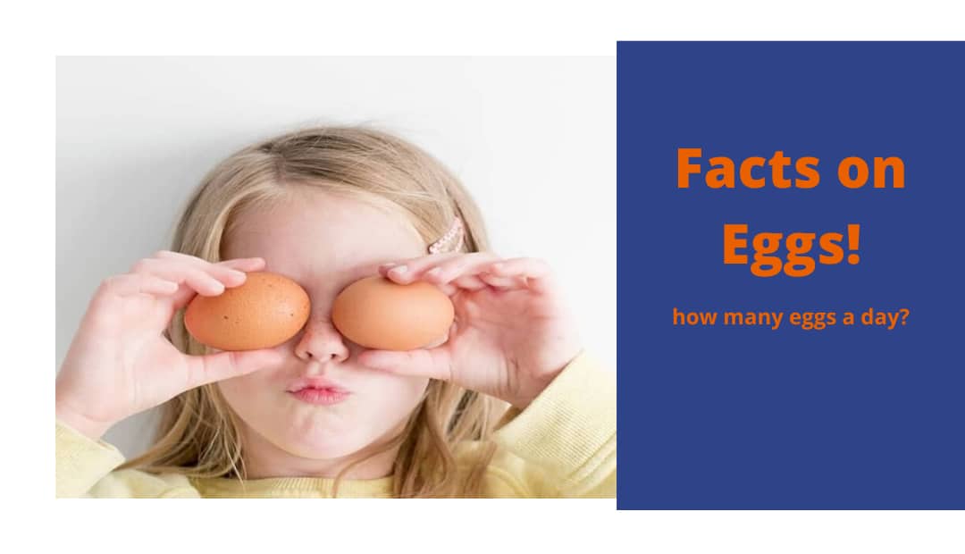 eggs supplement in egg diet