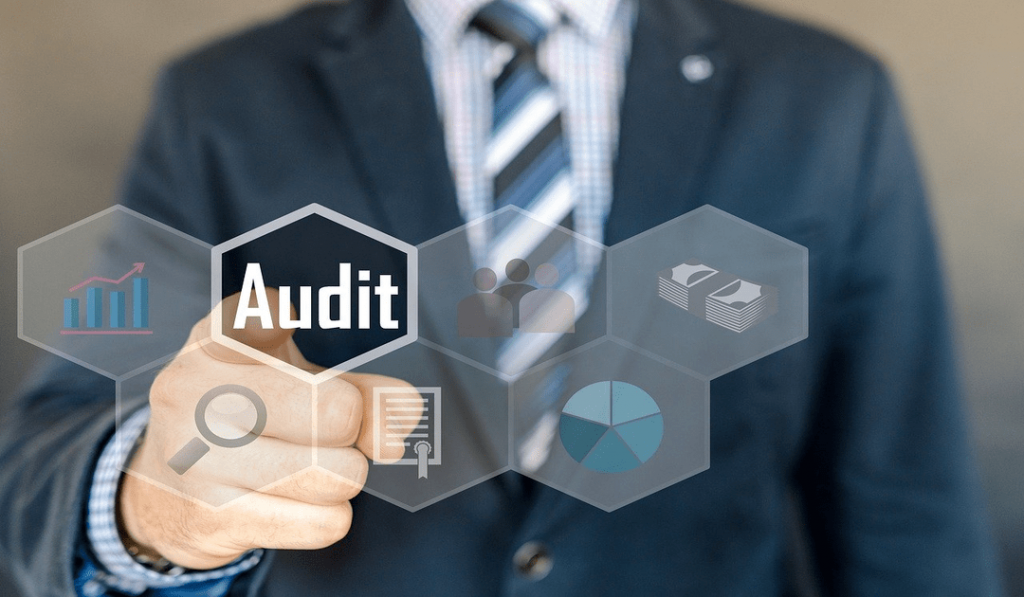 auditor performing audit