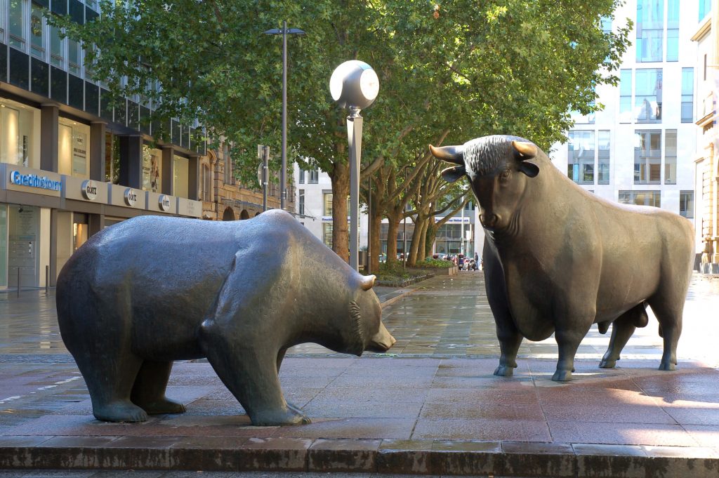 bear and bull
