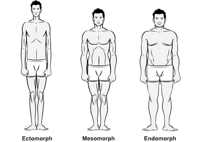 an illustration of 3 body types. ectomorphs, meshomorphs, endomorphs. knowing this types can help on men's style and fashion.