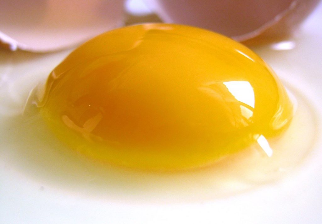 yolk good or bad