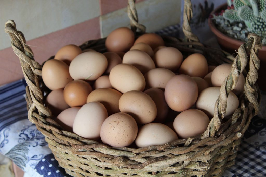 Egg is one of the  high-fat low carbs foods