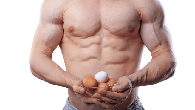 eggs as lean protein
