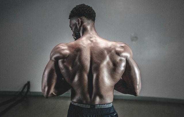 Back muscles: Lats, rhomboids, lower` back and rotator cuffs.