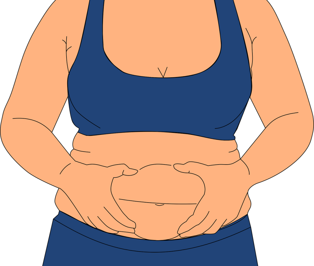 A women with obesity clip art