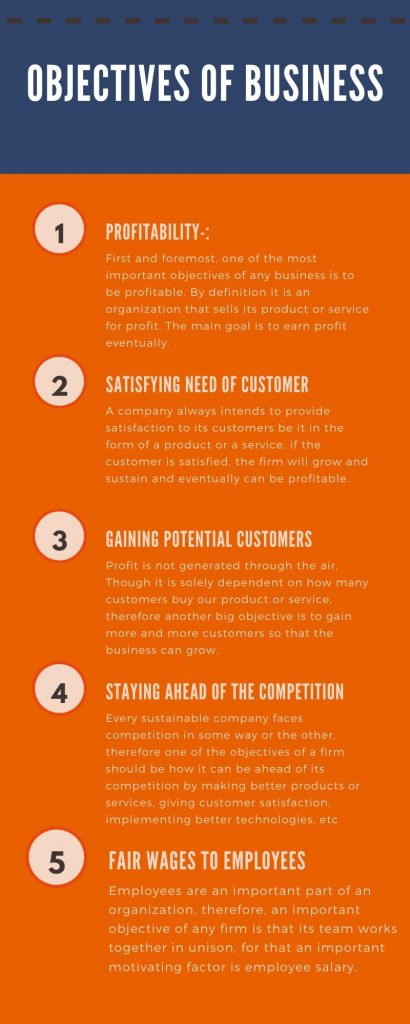 objectives of a business infographic