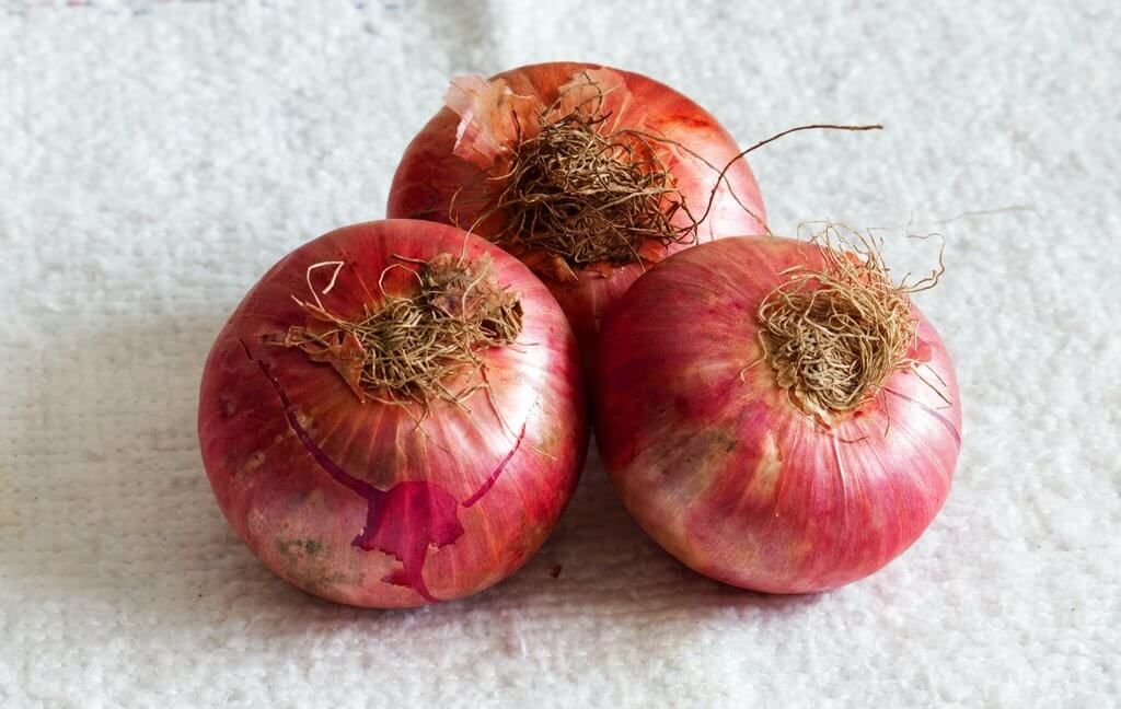 onion for hair growth