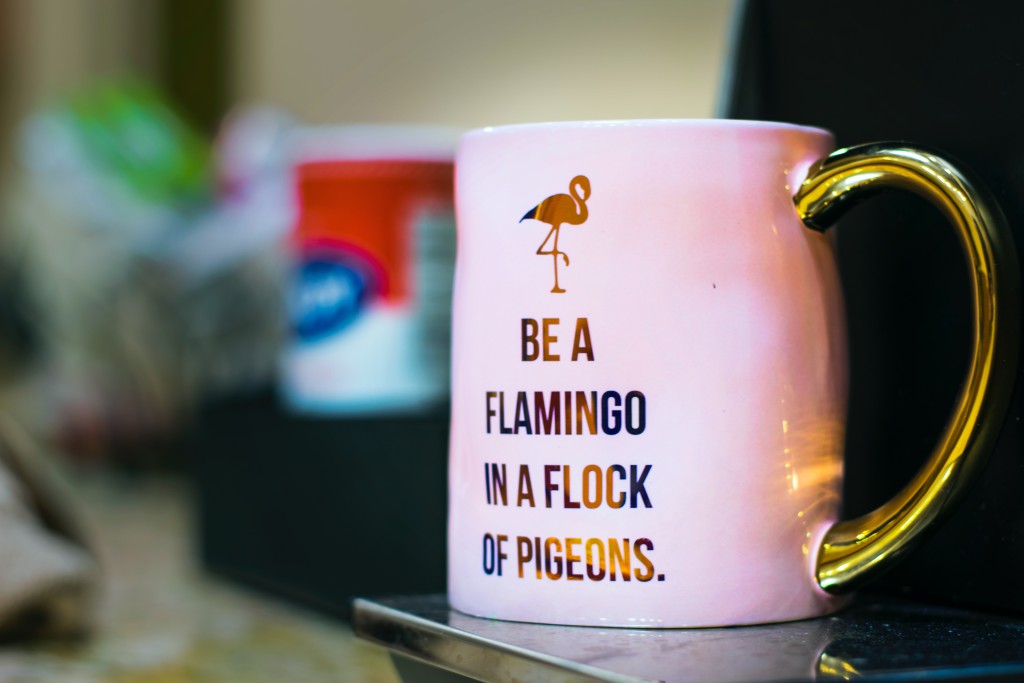 be a flamingo in flock of pigeon
