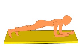 plank-and-weight-loss
