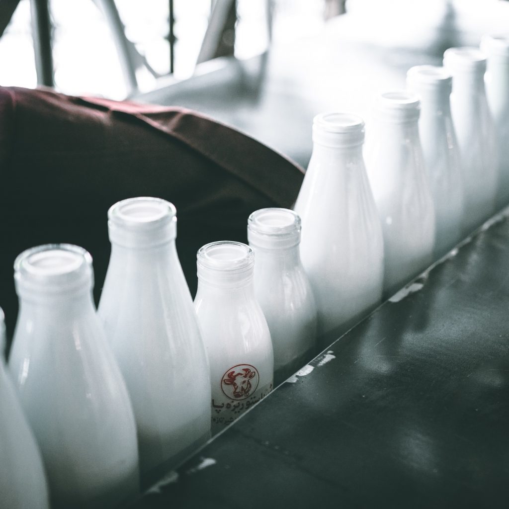 production of milk