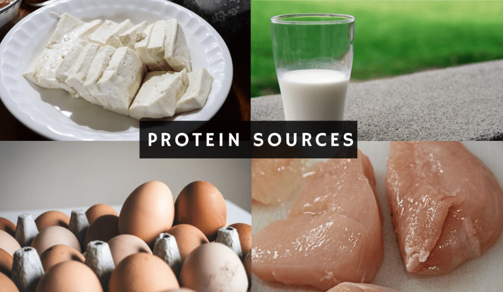 Some common protein sources for your diet.