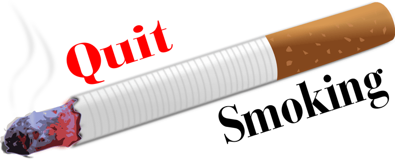 quit smoking slogan vector image