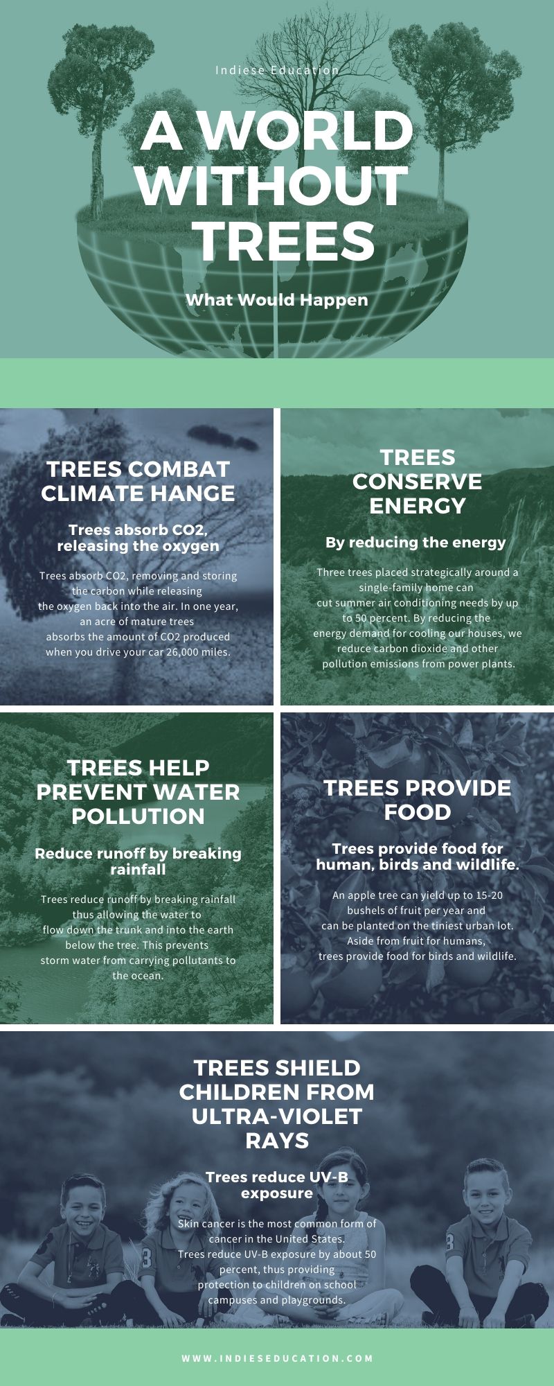 A world without trees infografic