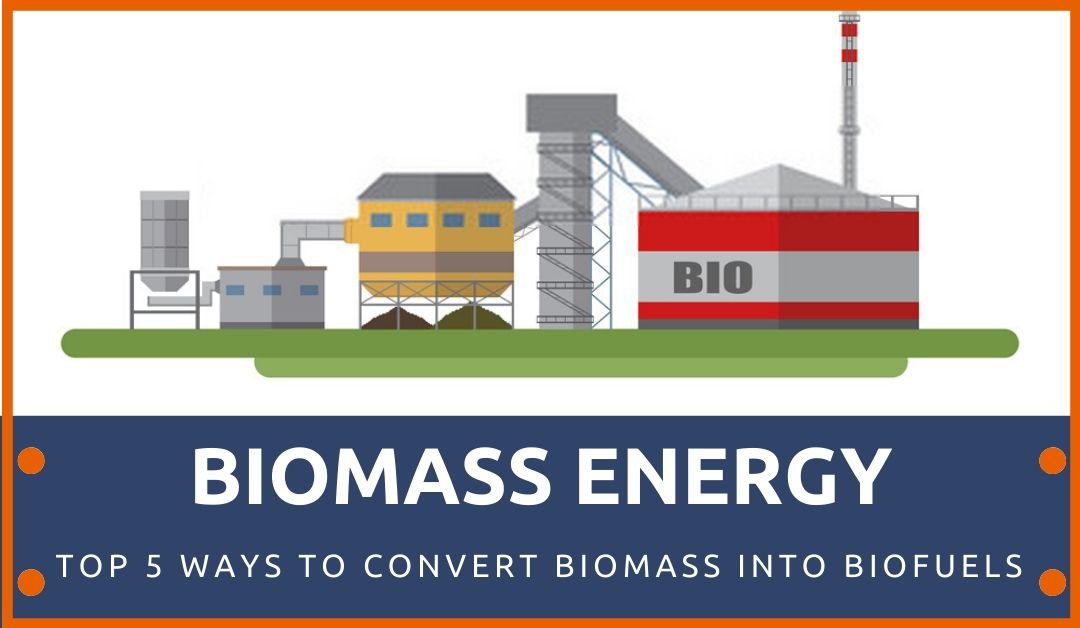Biomass-Energy.
