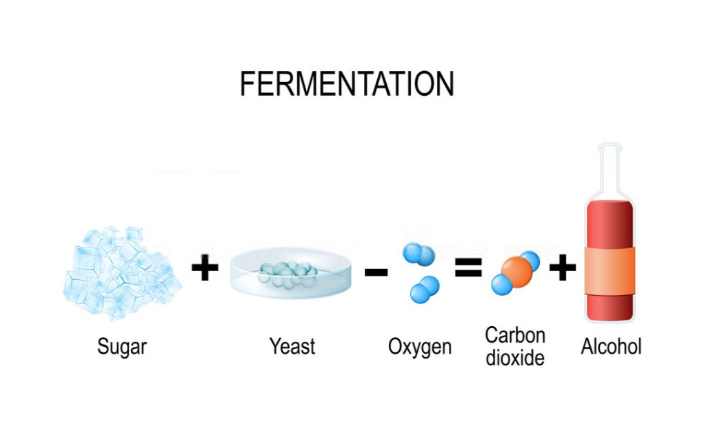 Fermentation process
