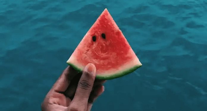 All about watermelon in one blog post