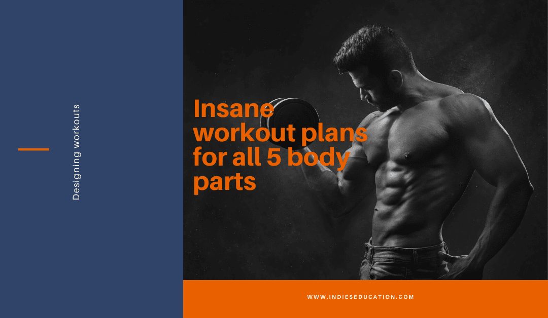 Insane workout plans for all 5 body parts. A blog on indies education.