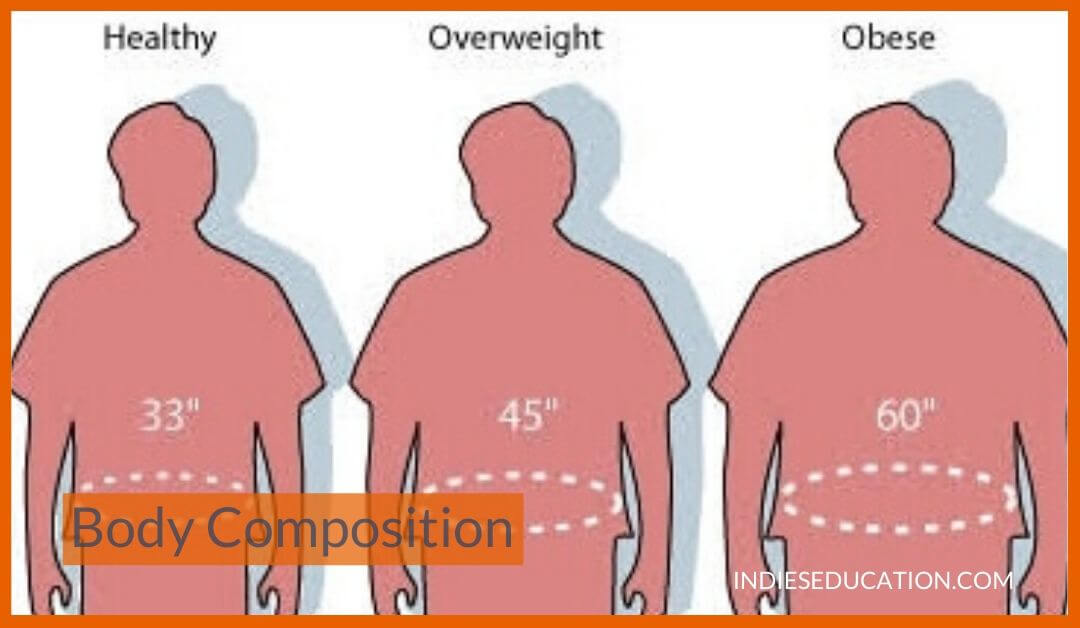 Physical-fitness-Body-Composition