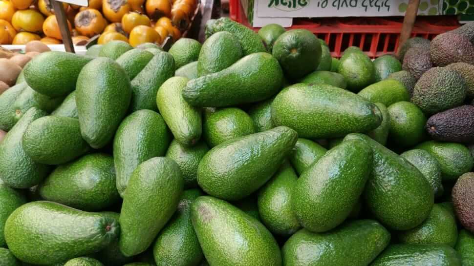 avocado-food-for-weight-loss