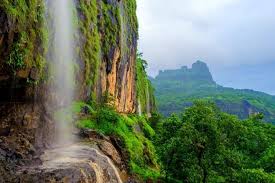 bhimashankar waterfall
