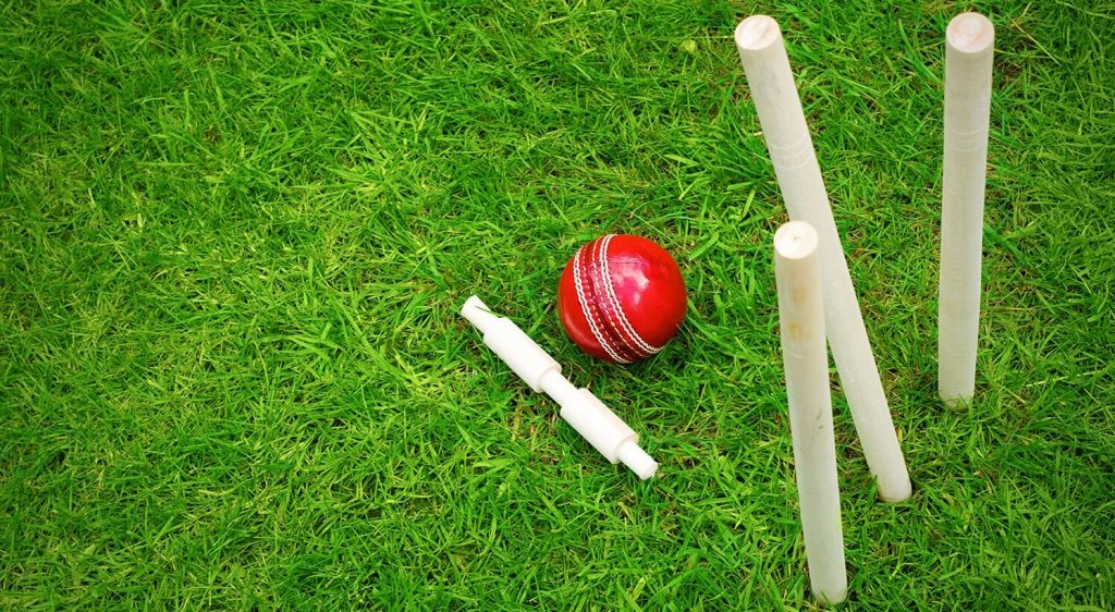 Basic Keypoints of Cricket