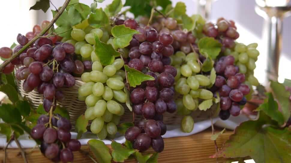 grapes-for-weight-loss