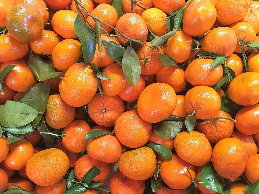 orange-fruit-weight-loss