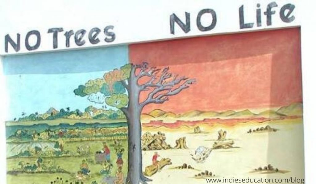 no trees no life