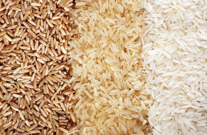 Rice companies in india